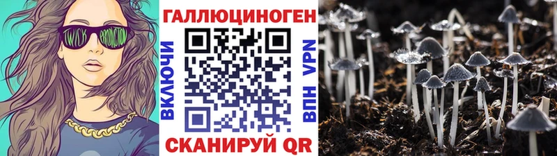 где продают наркотики  Стерлитамак  Галлюциногенные грибы мухоморы 